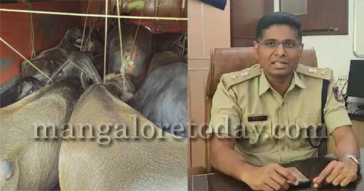 Cattle theft case-Charge memo issued to Puttur inspector 